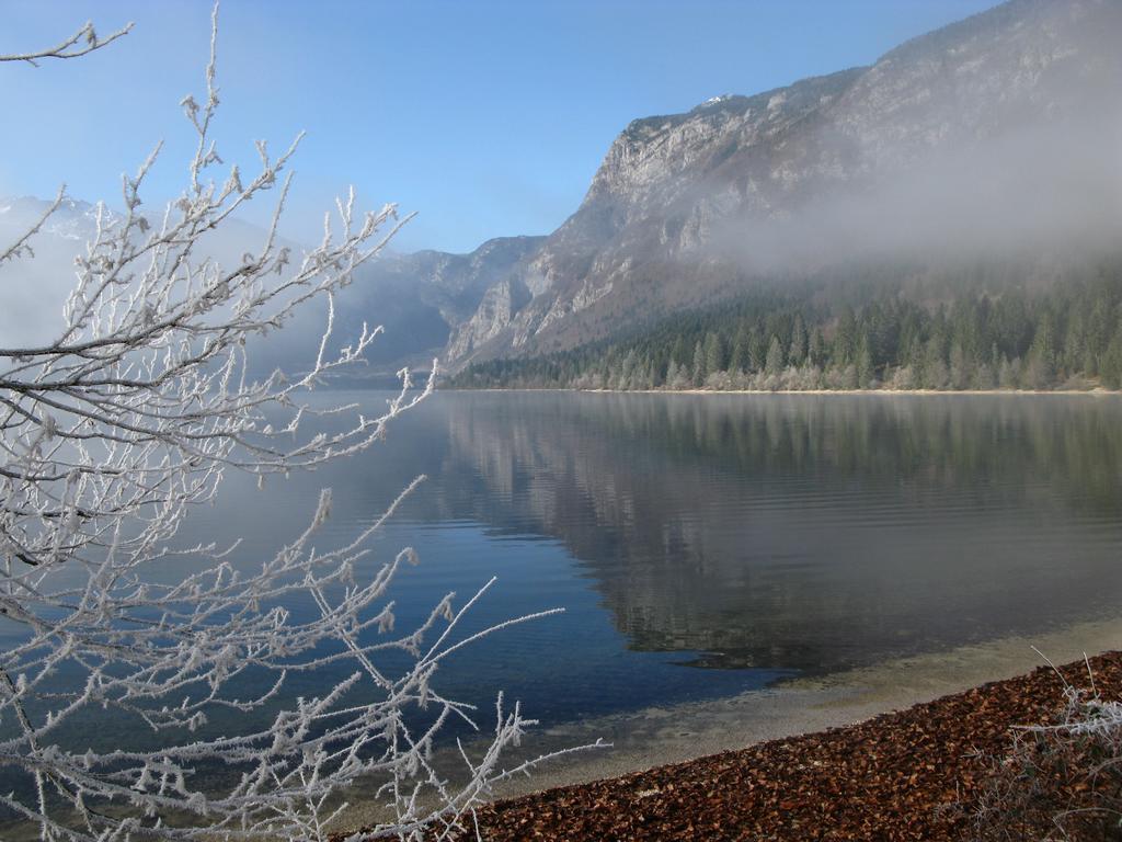 Sporar Apartma Bohinj